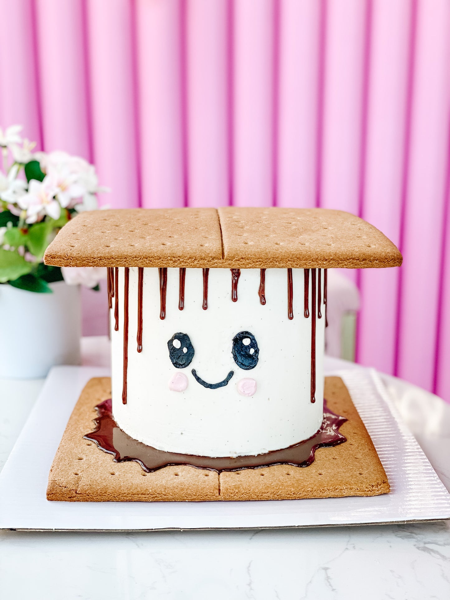 S'more Cutie Cake